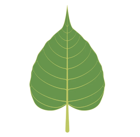 Bodhi Leaf